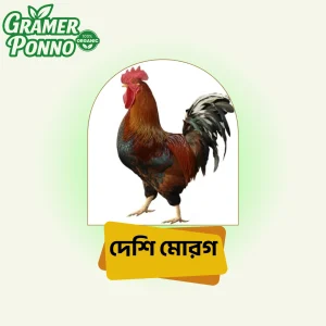 প্রাকৃতিক পরিবেশে হাঁটছে একটি দেশি মুরগি – খোলা মাঠে লালিত, স্বাস্থ্যকর ও খাঁটি পুষ্টির উৎস।