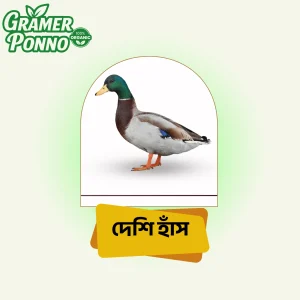 দেশি হাঁসের ডিম, অর্গানিক হাঁসের ডিম, খাঁটি হাঁসের ডিম, গ্রামের হাঁস, পুষ্টিকর ডিম, Duck Egg Bangladesh