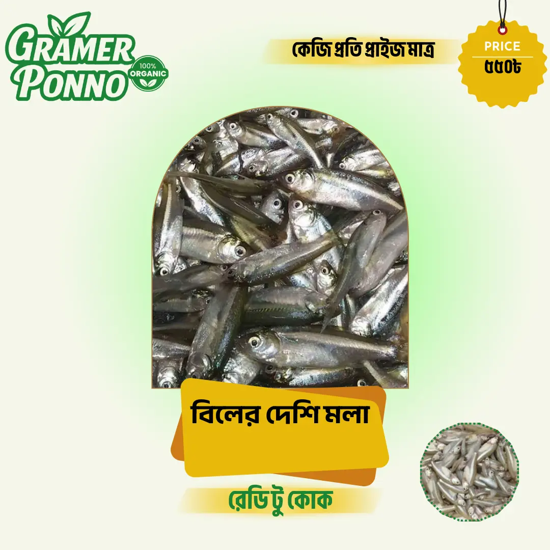 বিলের দেশি মলা মাছ